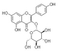 紫云英苷；黄芪苷、莰非醇-3-O-葡萄糖苷、山柰酚-3-葡萄糖苷、百蕊草素Ⅱ