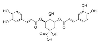 异绿原酸A;3,5-二咖啡酰奎宁酸