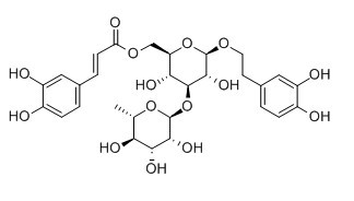 异类叶升麻苷；异麦角兹苷；异毛蕊花糖苷