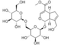 京尼平龙胆双糖苷；京尼平-1-β-D-龙胆双糖苷